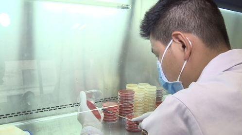 卫生纸巾爆料视频